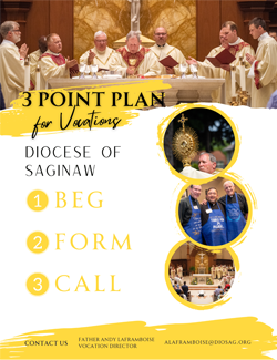 Three Point Plan for Vocations Flyer