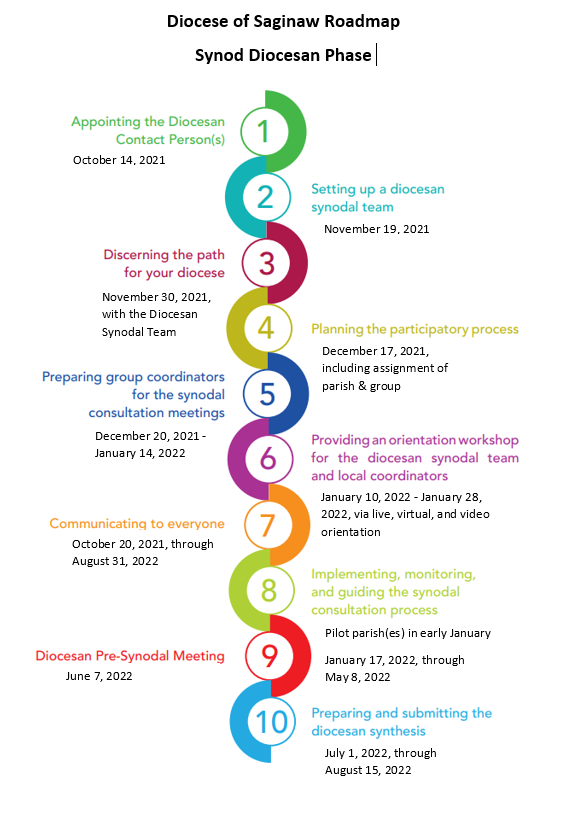 Synod Phases