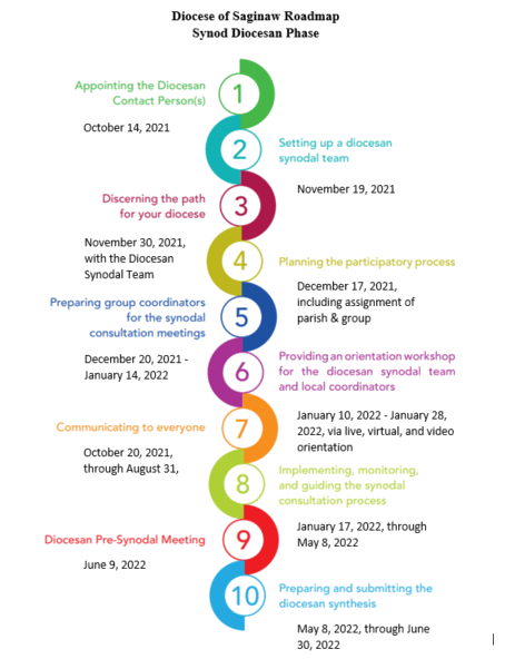 Synod Timeline