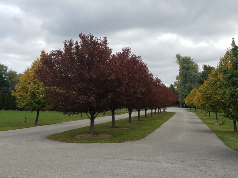 Scheurmann Road Entrance
