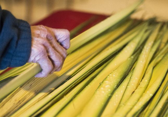 20150329_palm_sunday_drm_11.jpg