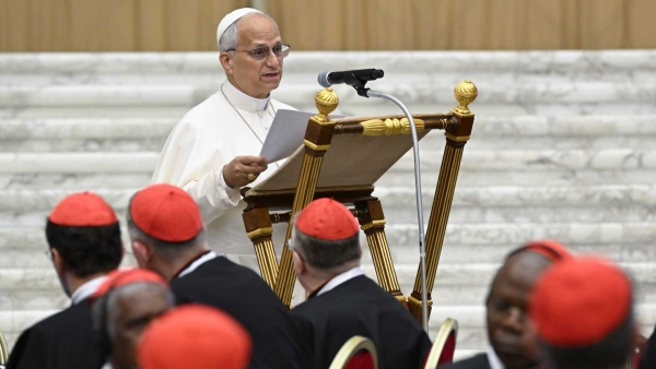 Pope Leo XIV addresses cardinals